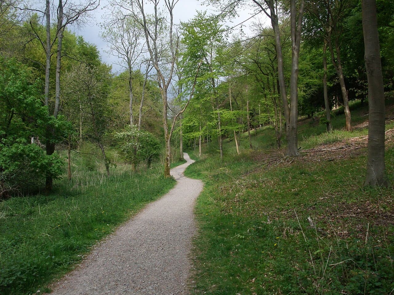 Queen Elizabeth Country Park - Image 2