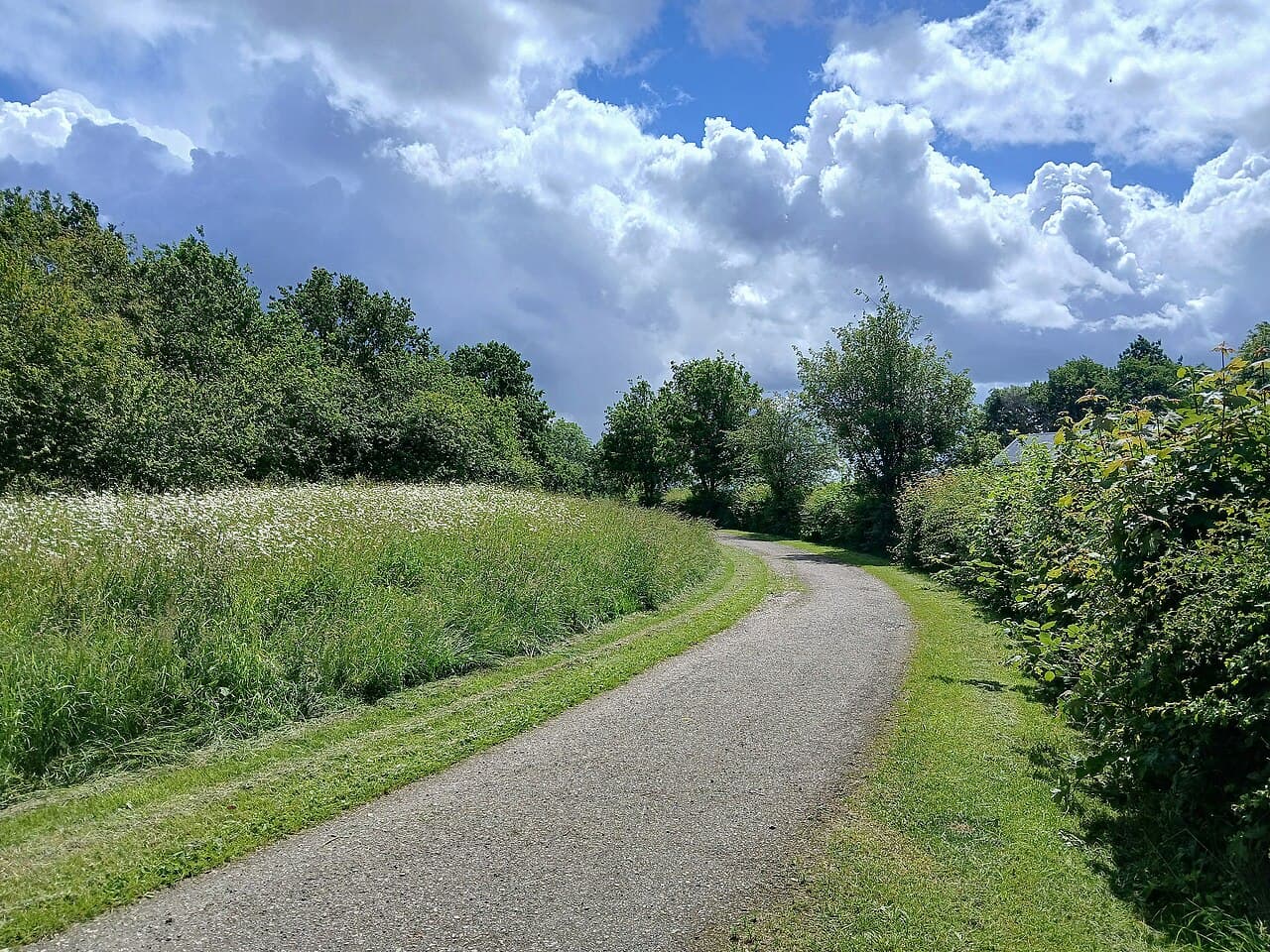 Pickering's Pasture - Image 2