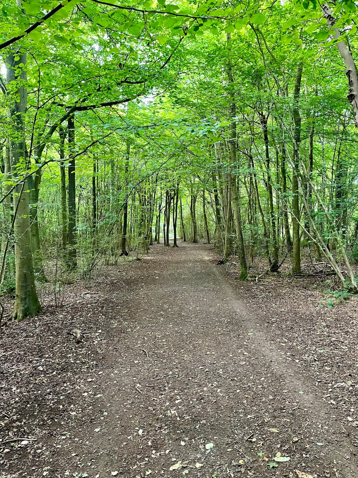 High Elms Country Park - Image 1