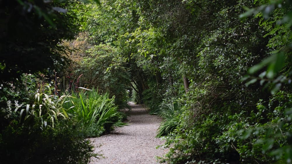 Seaforde Gardens & Tropical Butterfly House - Image 2
