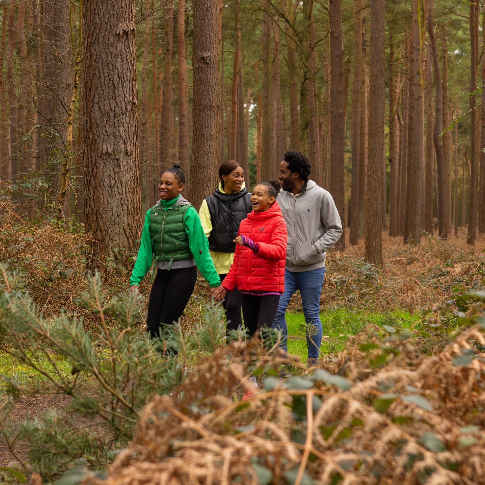 Go Ape Wyre - Image 2