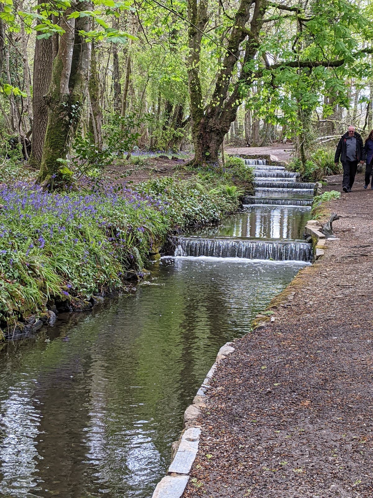 Tehidy Country Park - Main view