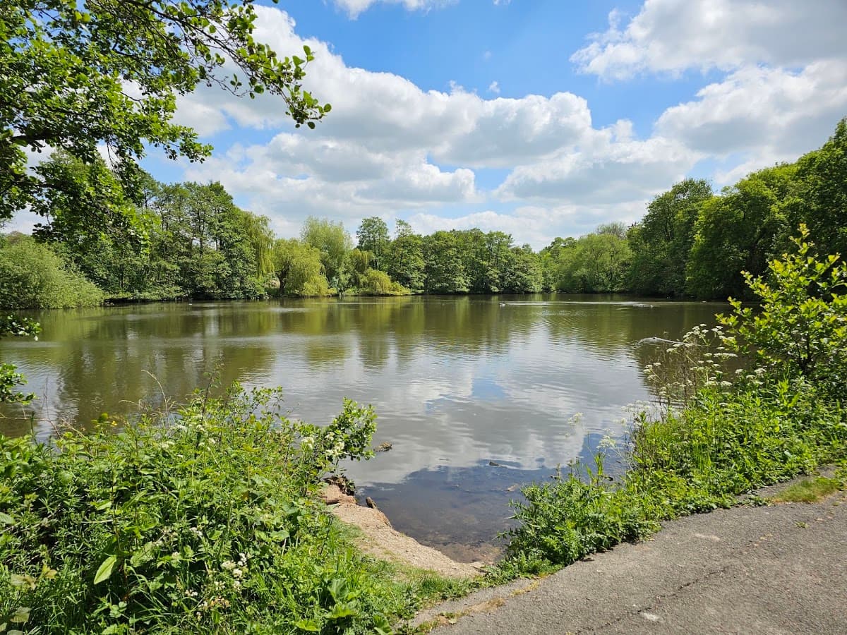 Elmdon Park - Main view