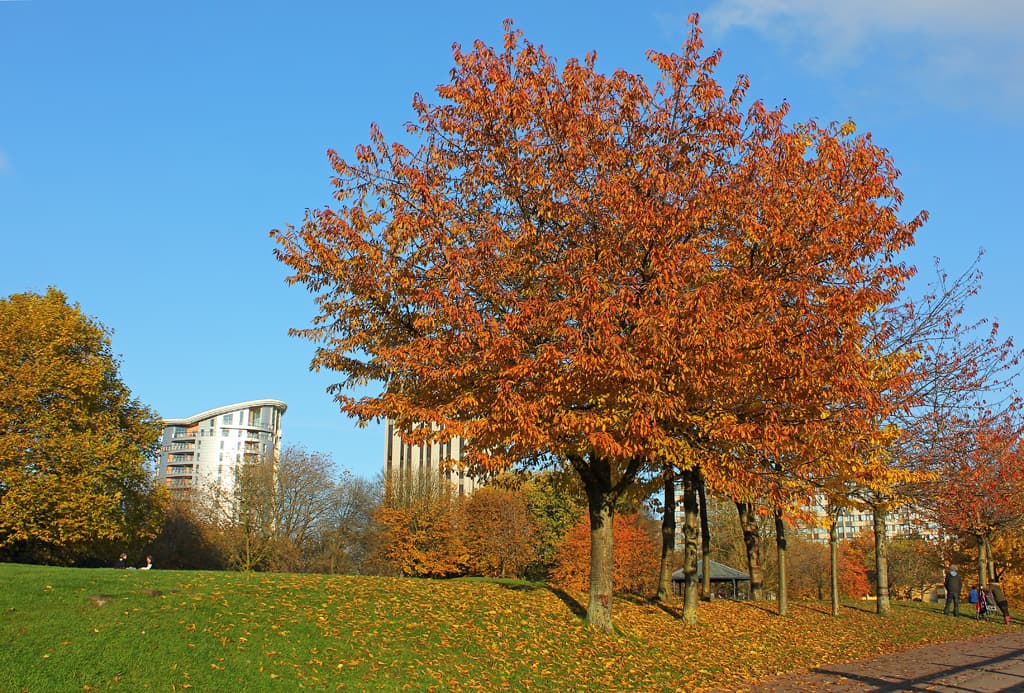 Castle Park - Image 2