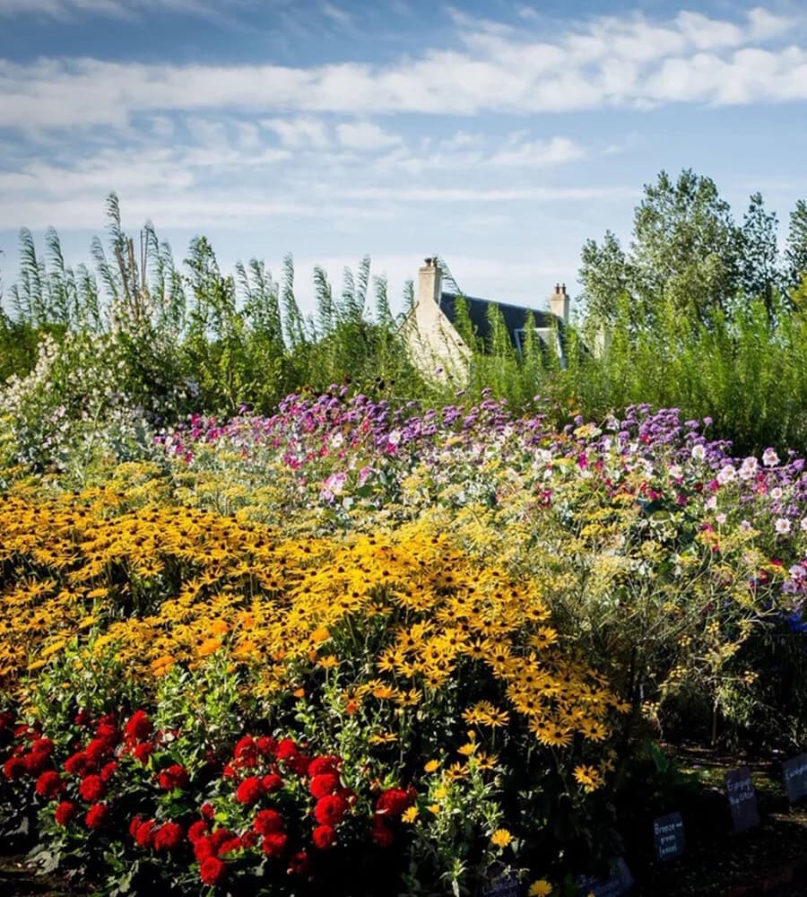 Archerfield Walled Garden - Image 3