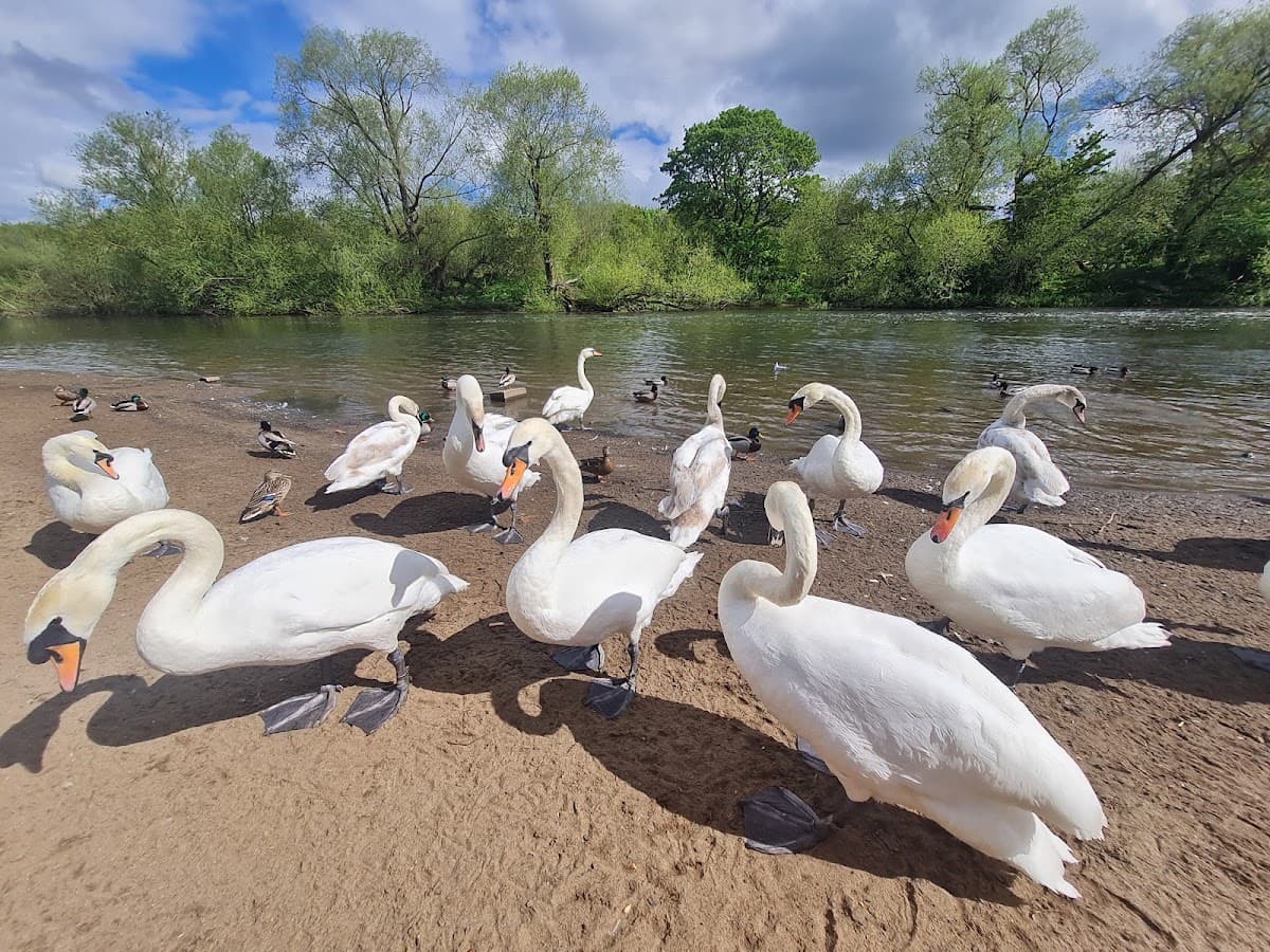 Riverside Park - Image 2