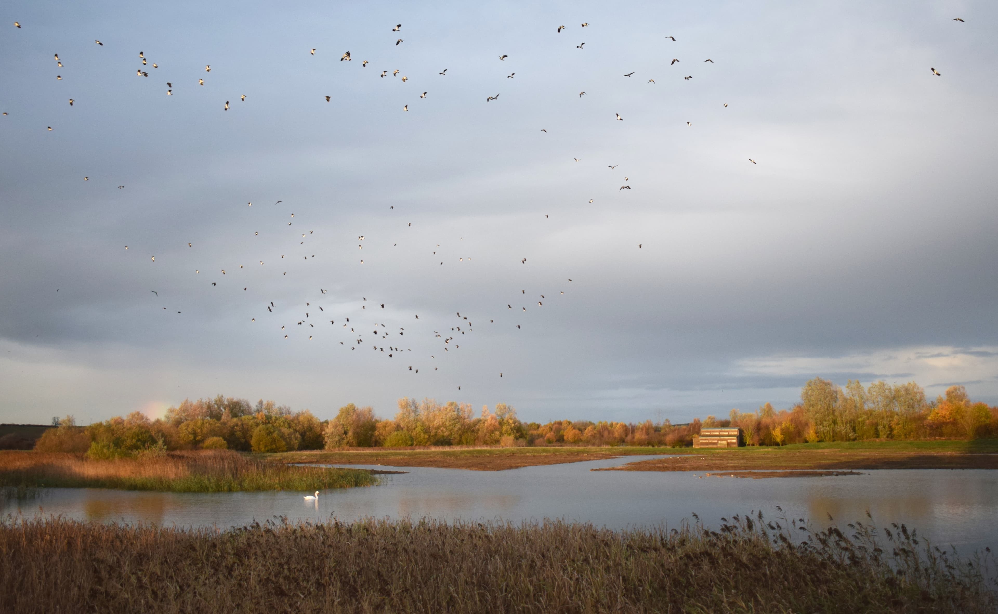 Godmanchester Nature Reserve - Image 2