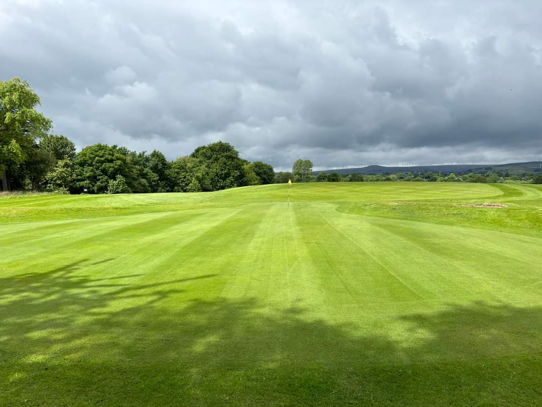 Springfield Park - Image 2