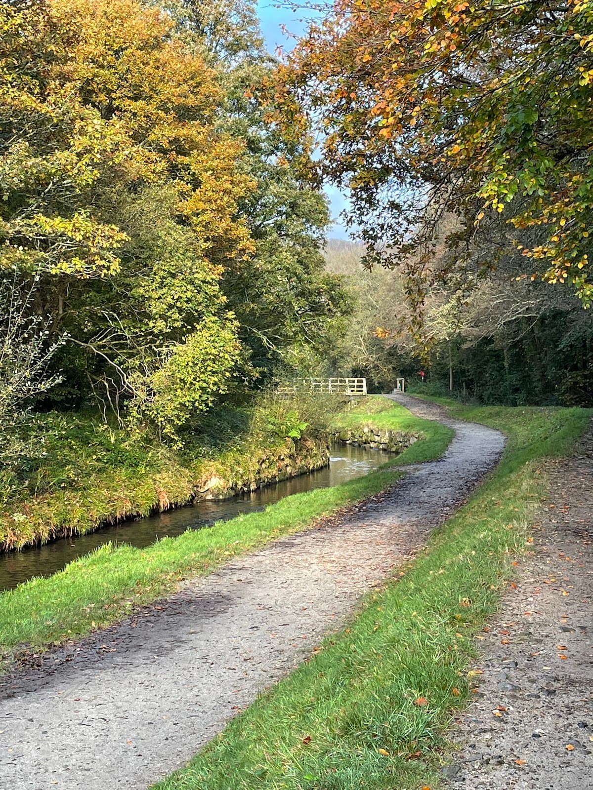 Kings Wood. - Image 3