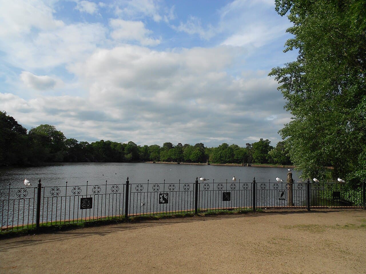 Hartsholme Park - Image 4