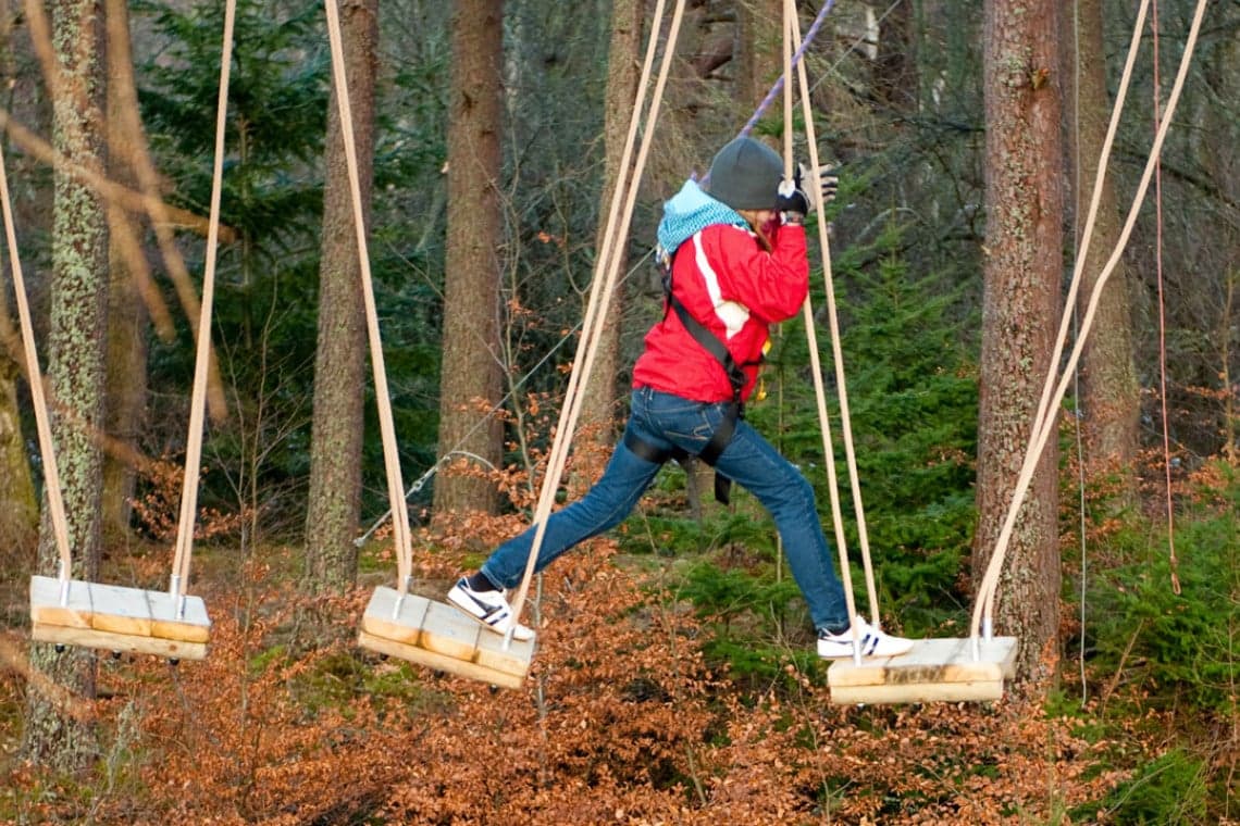 TreeZone Aviemore - Image 4
