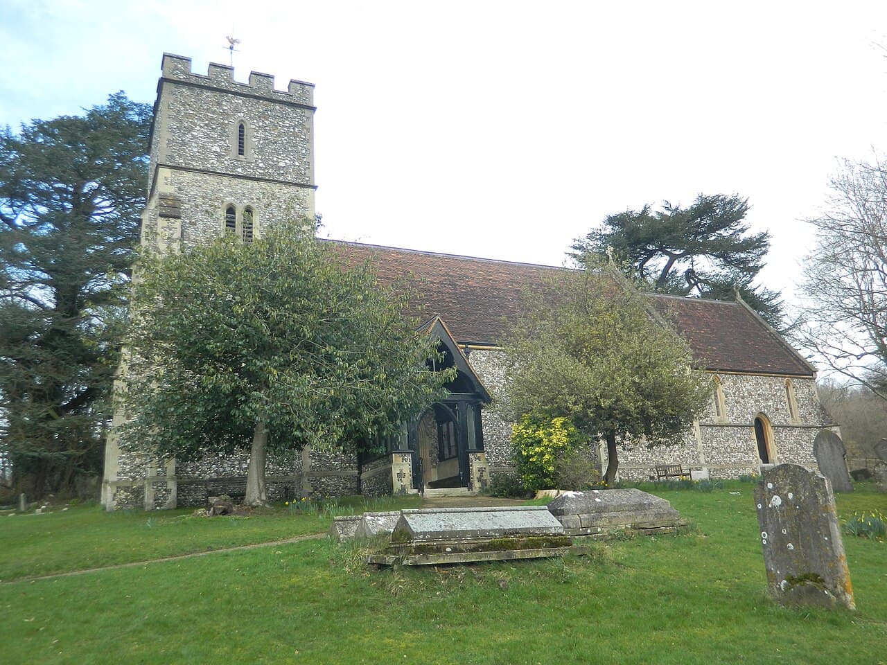 RSPB Church Wood - Main view