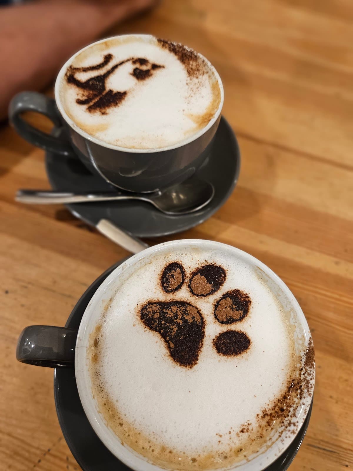 Cat Cafe Liverpool - Image 1