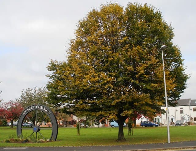 Mosley Common Play Area - Main view