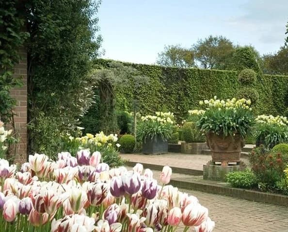East Ruston Old Vicarage Garden - Image 3