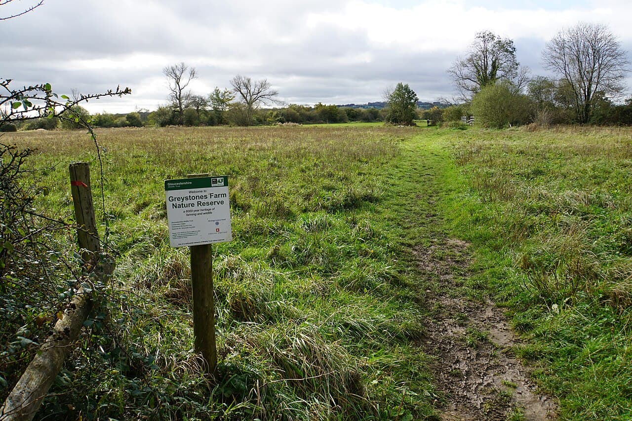 Greystones Farm Nature Reserve - Image 2