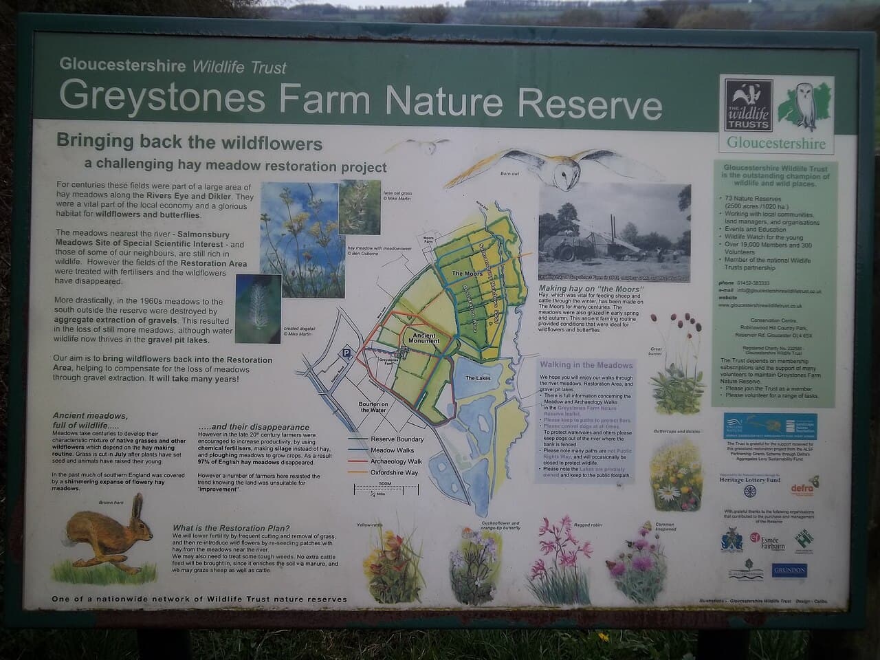 Greystones Farm Nature Reserve - Image 4