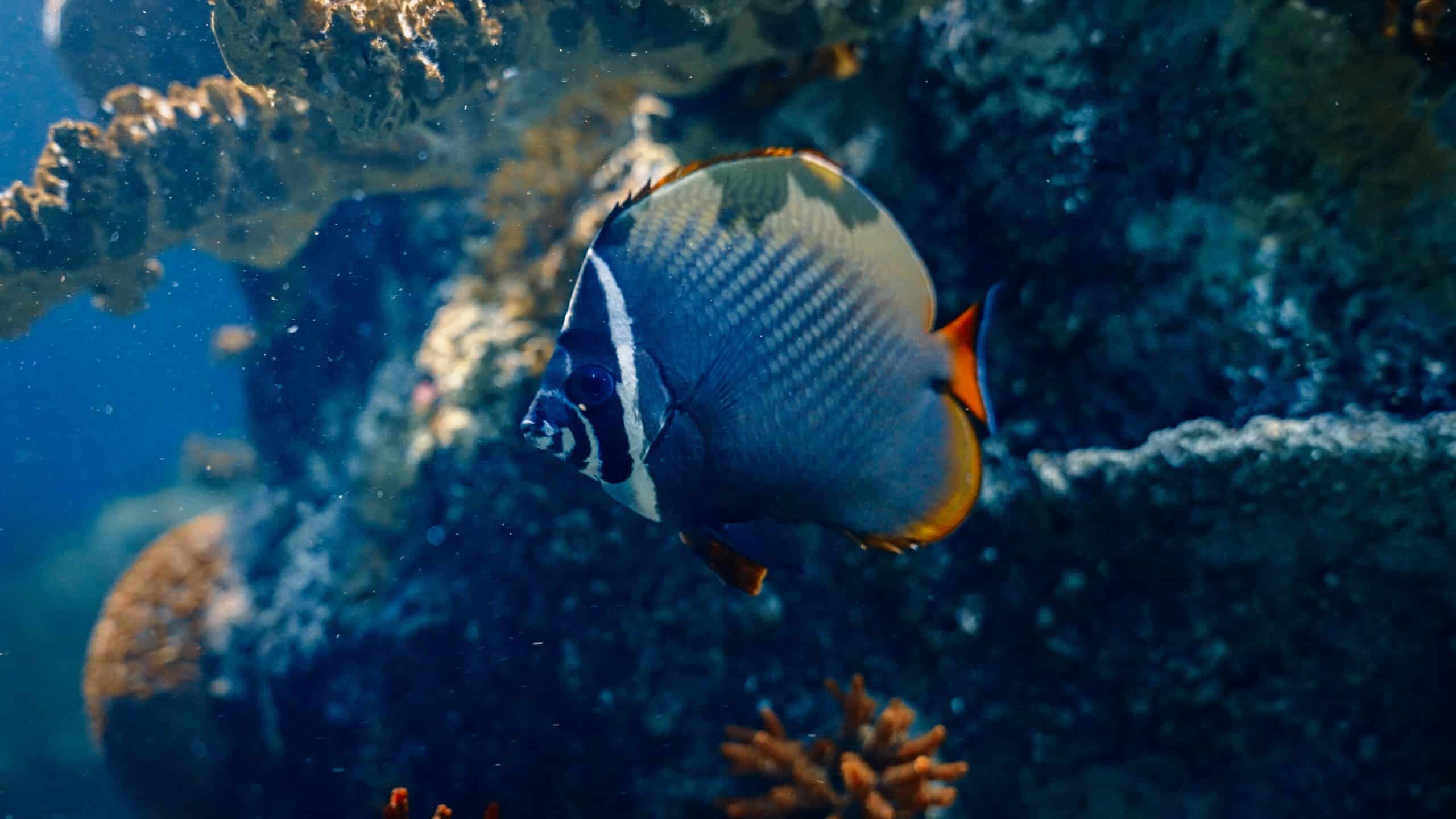 Bristol Aquarium - Image 2