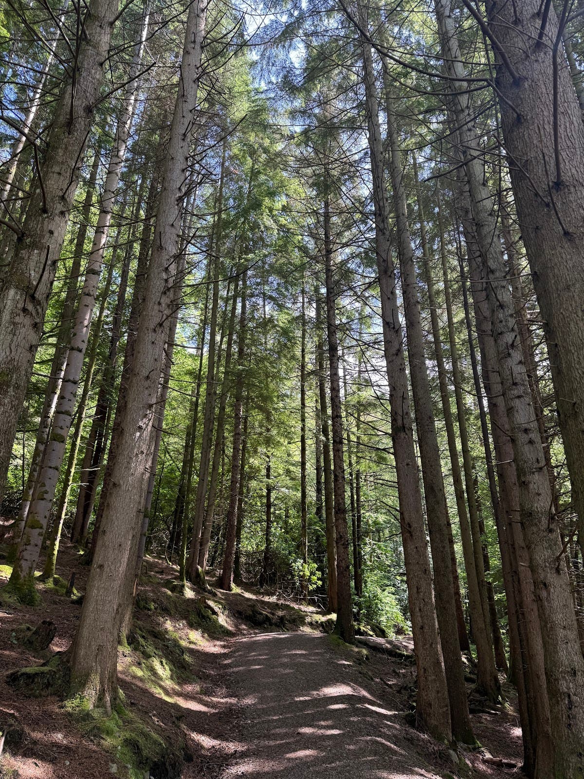 Glencoe Orbital Walk - Main view