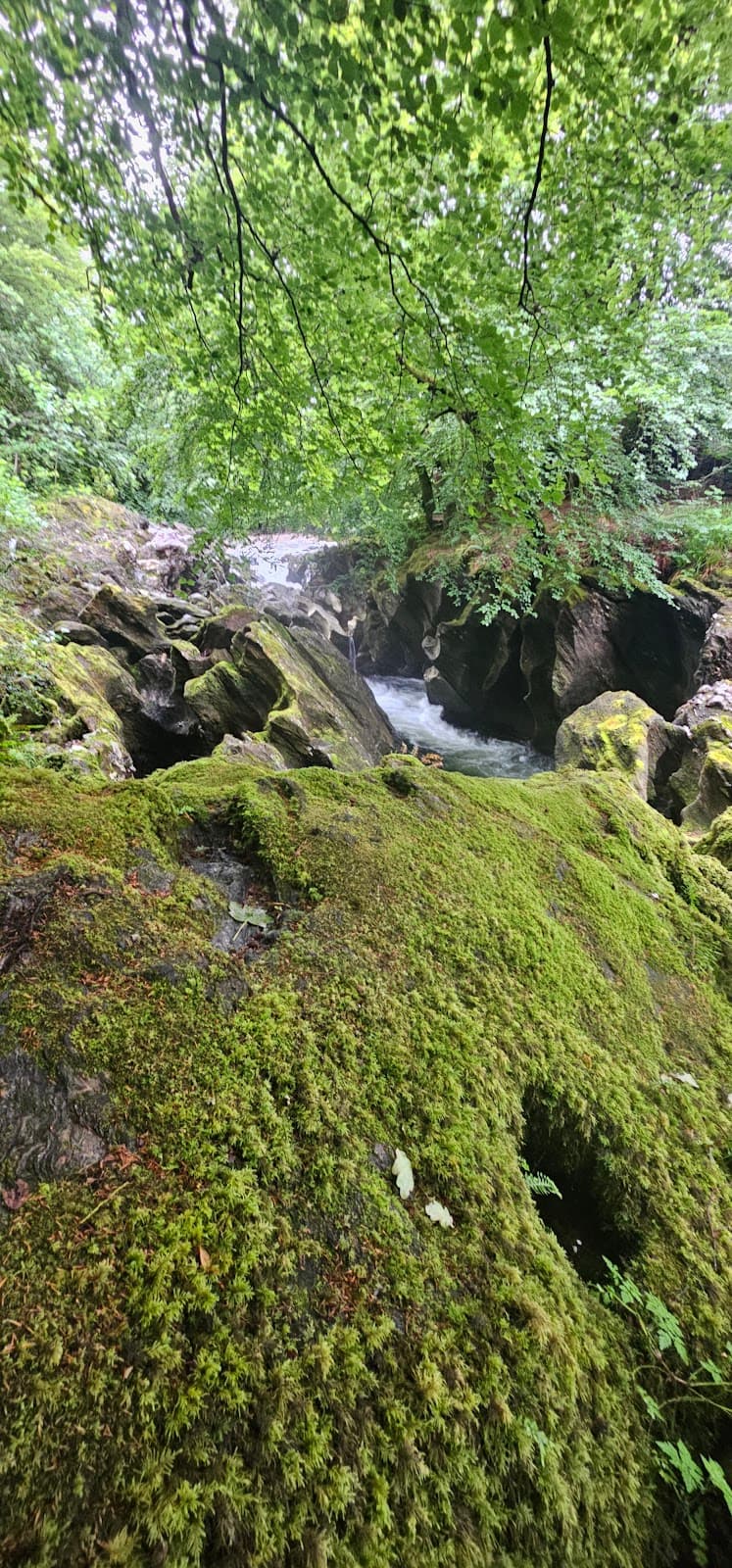 Glencoe Orbital Walk - Image 3