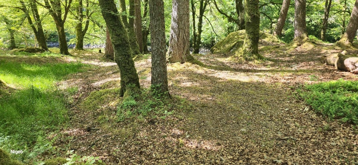 Glencoe Orbital Walk - Image 5
