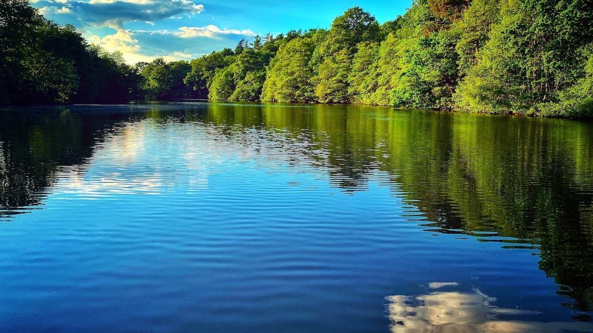 Virginia Water Lake - Image 1