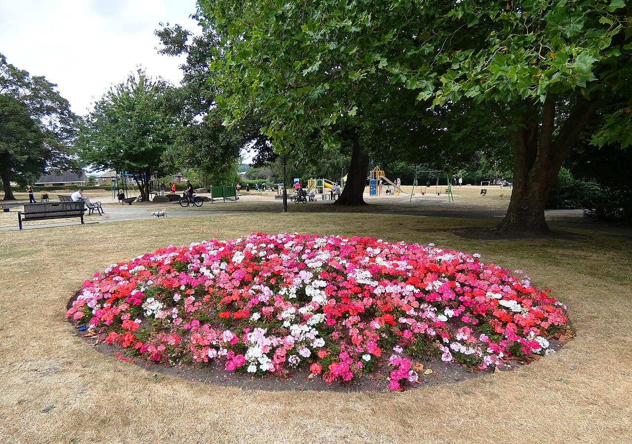 Rosehill Victoria Park - Image 2