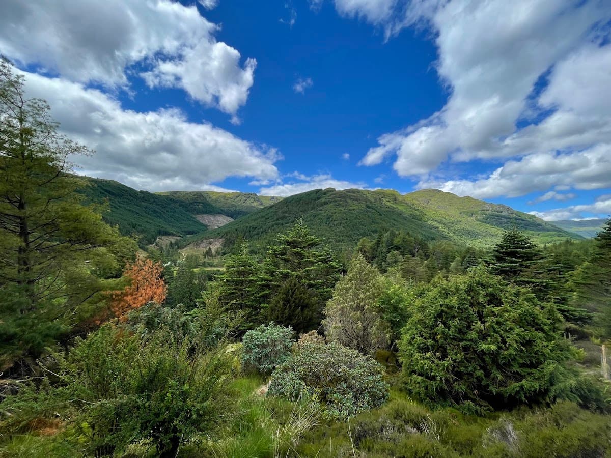 Benmore Botanic Garden - Image 2