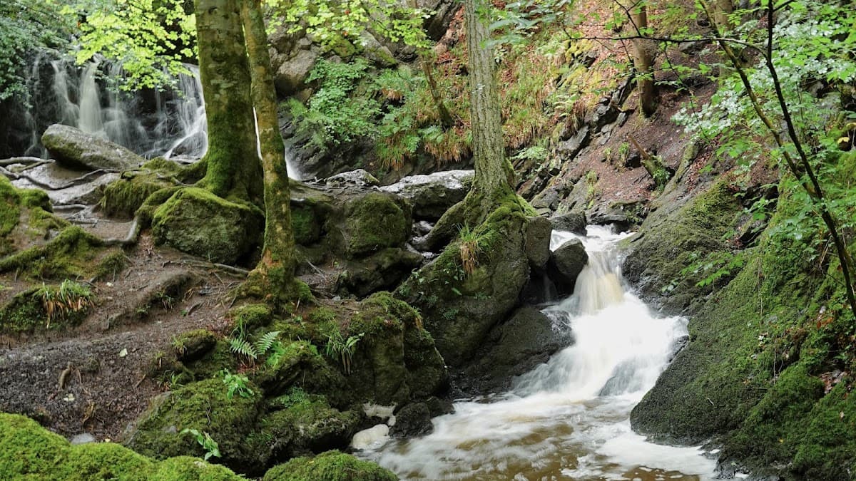 Fairy Glen Falls - Image 2