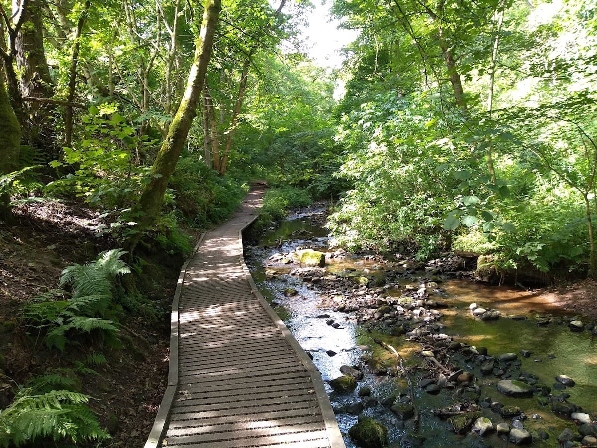 Fairy Glen Falls - Image 5