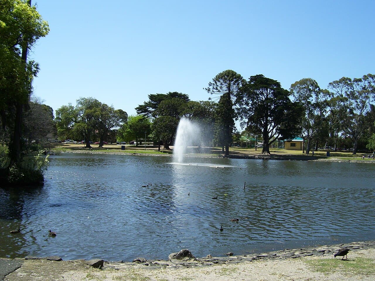 Victoria Park Pond - Main view