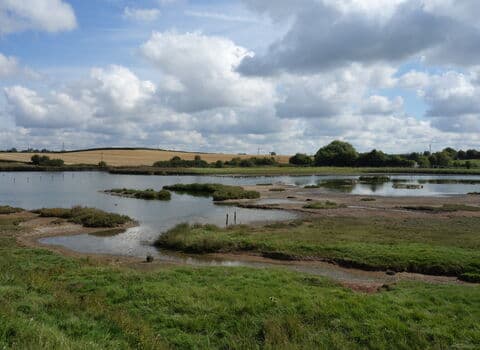 Piper's Hill & Dodderhill Common (Hanbury Woods) - Image 2