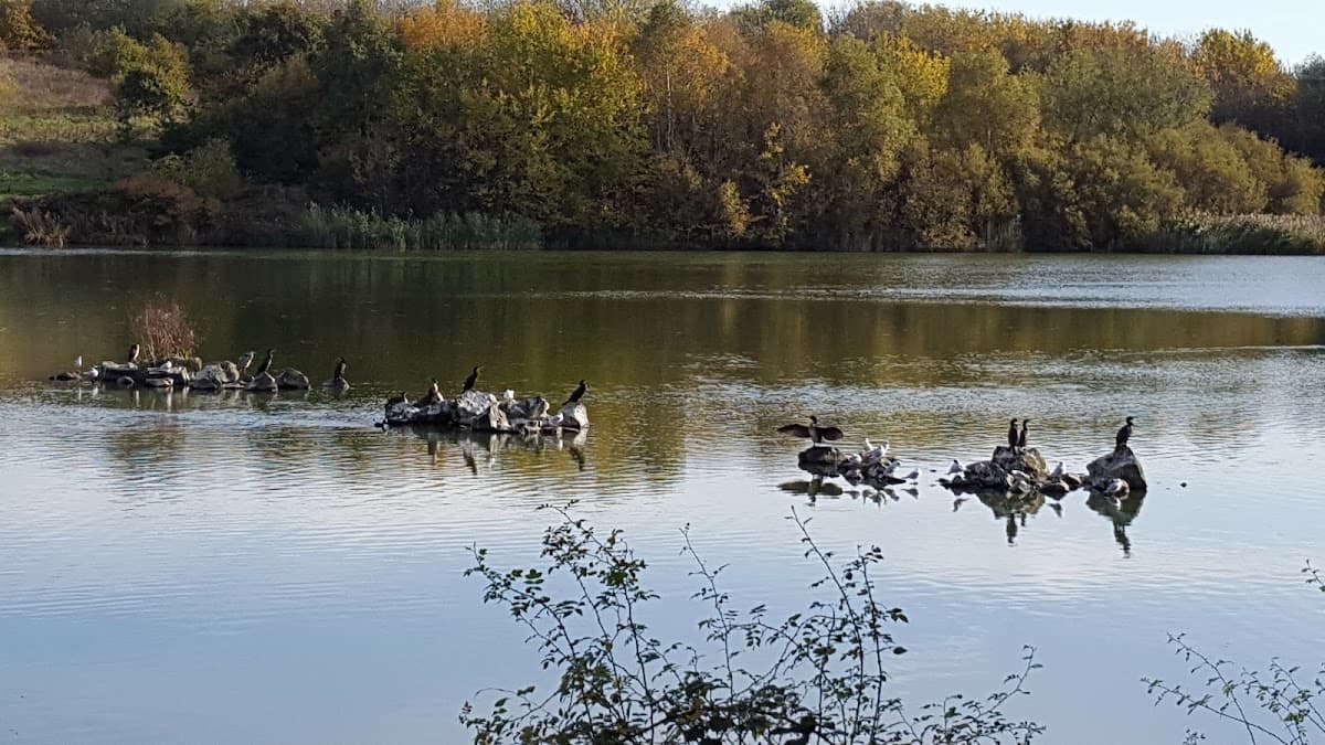 Sheepwash Nature Reserve - Image 2