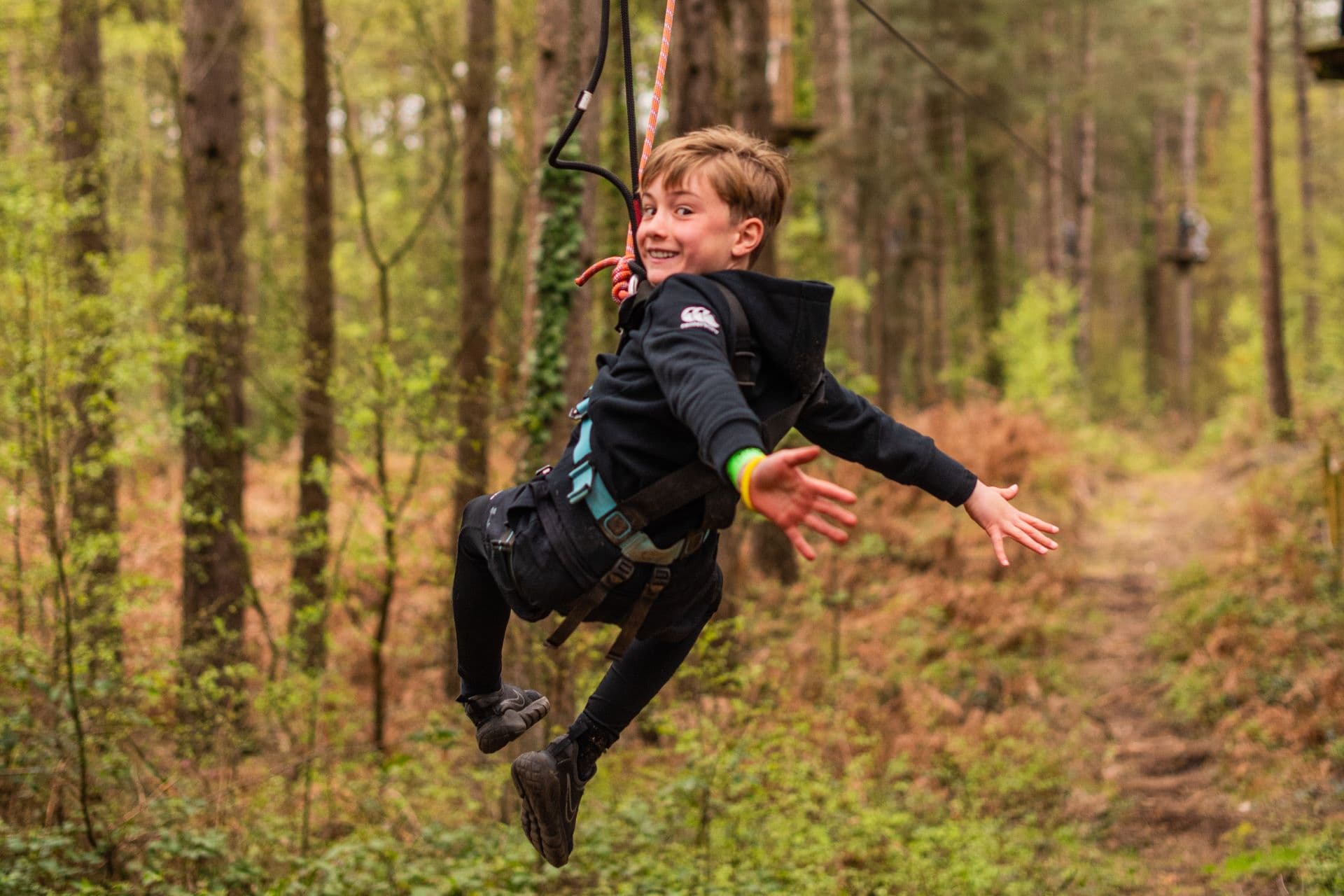 Go Ape Sherwood - Image 2