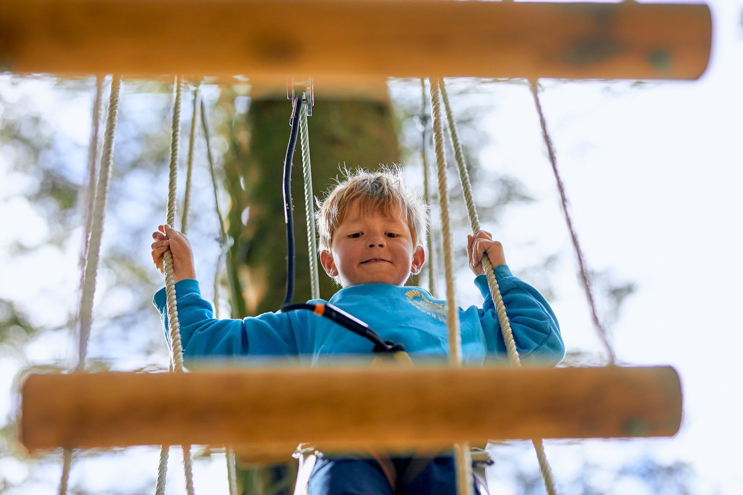 Go Ape Sherwood - Image 5