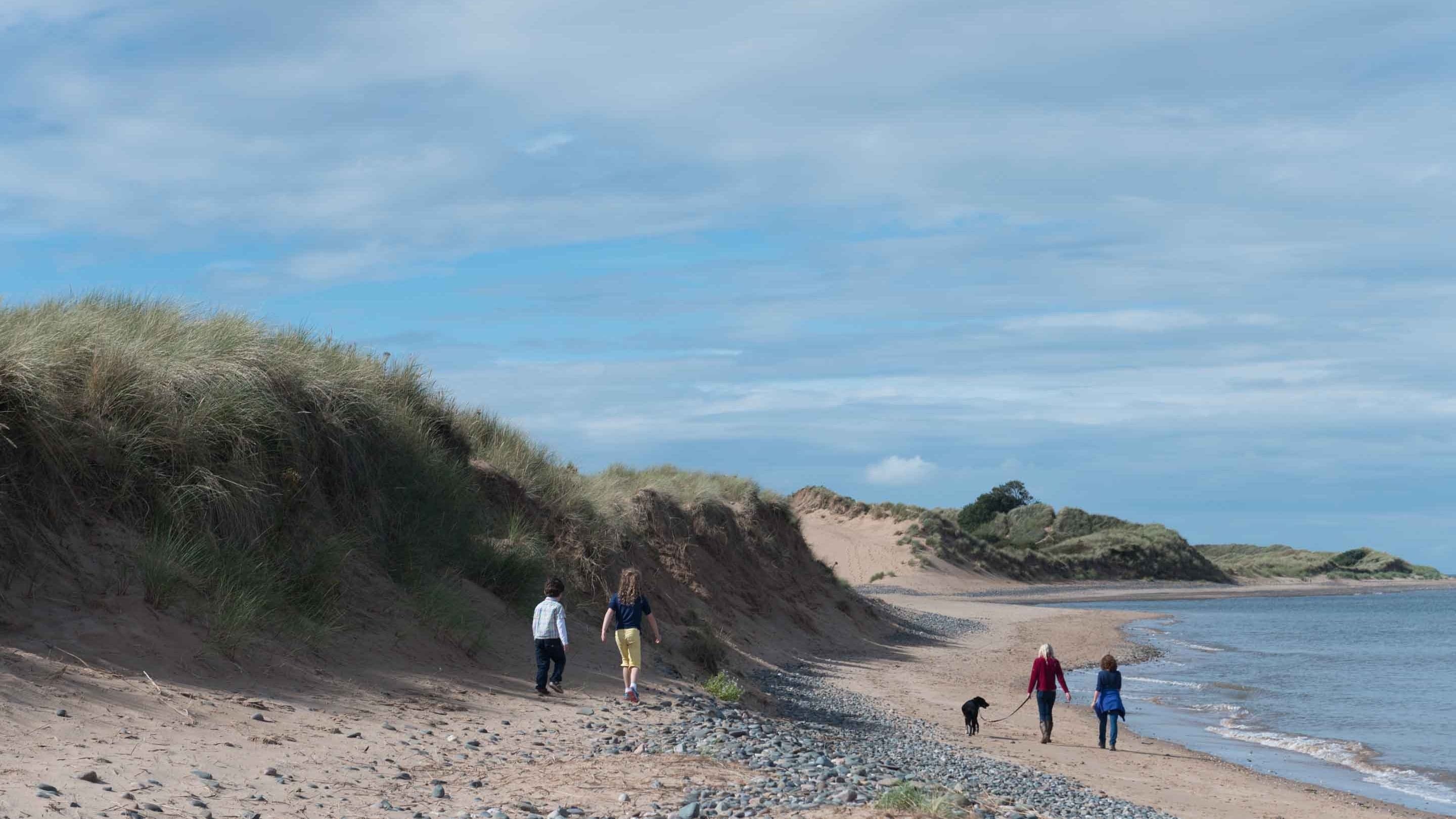 National Trust - Sandscale Haws National Nature Reserve - Main view