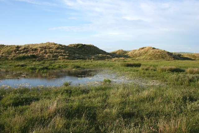 National Trust - Sandscale Haws National Nature Reserve - Image 2