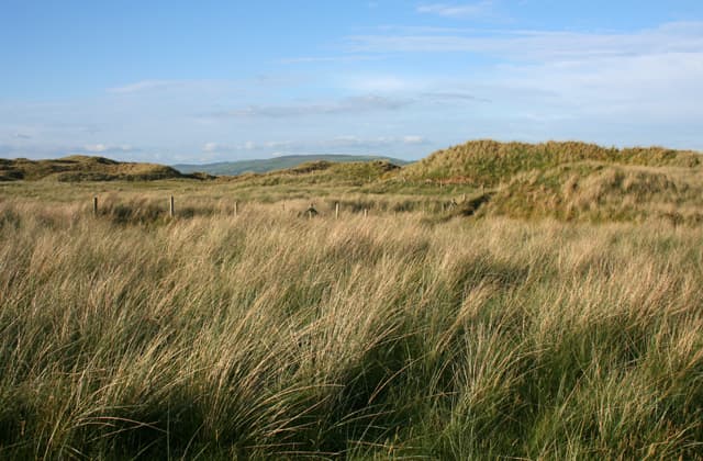National Trust - Sandscale Haws National Nature Reserve - Image 4
