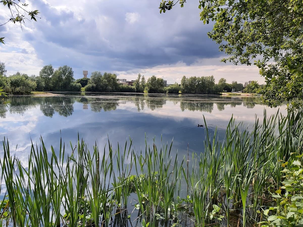 Conningbrook Lakes Country Park - Main view