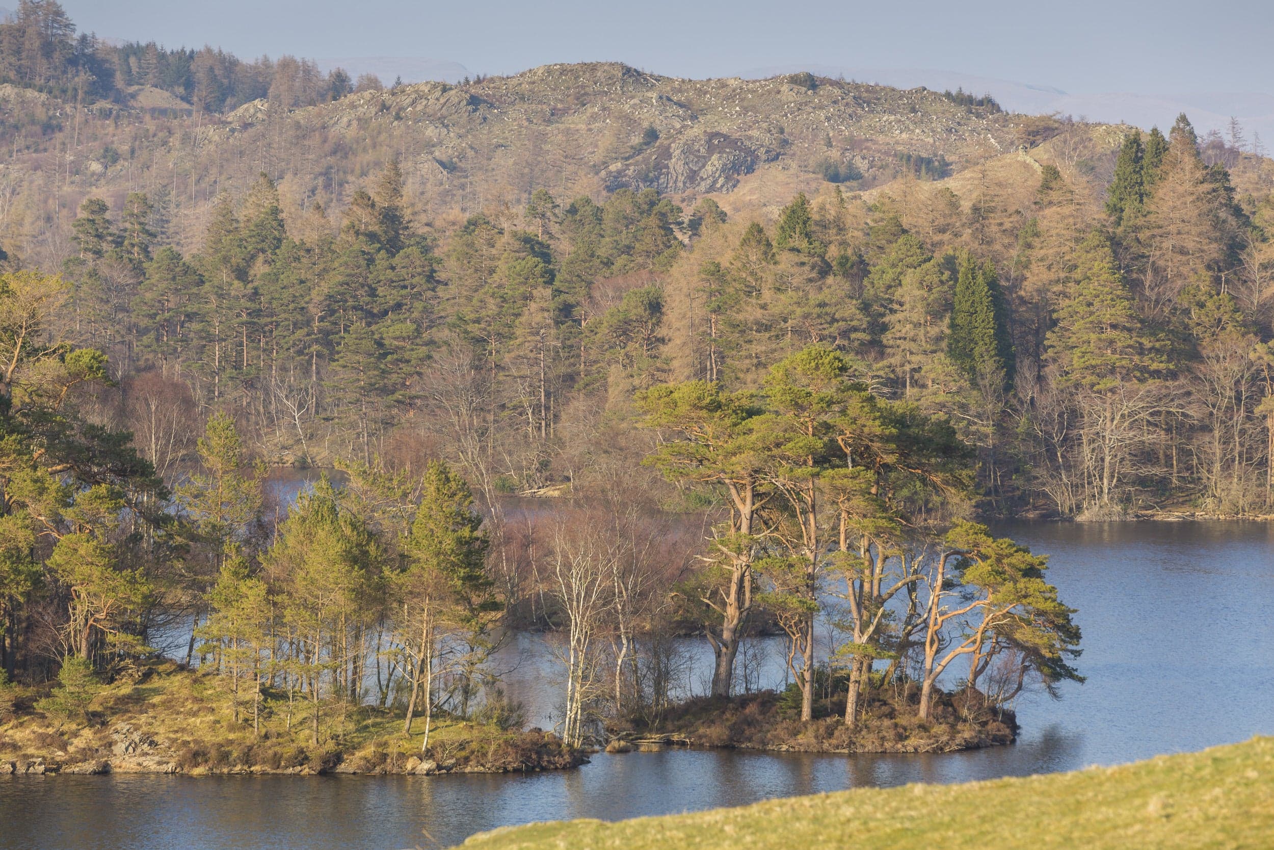 Tarn Hows - Image 4