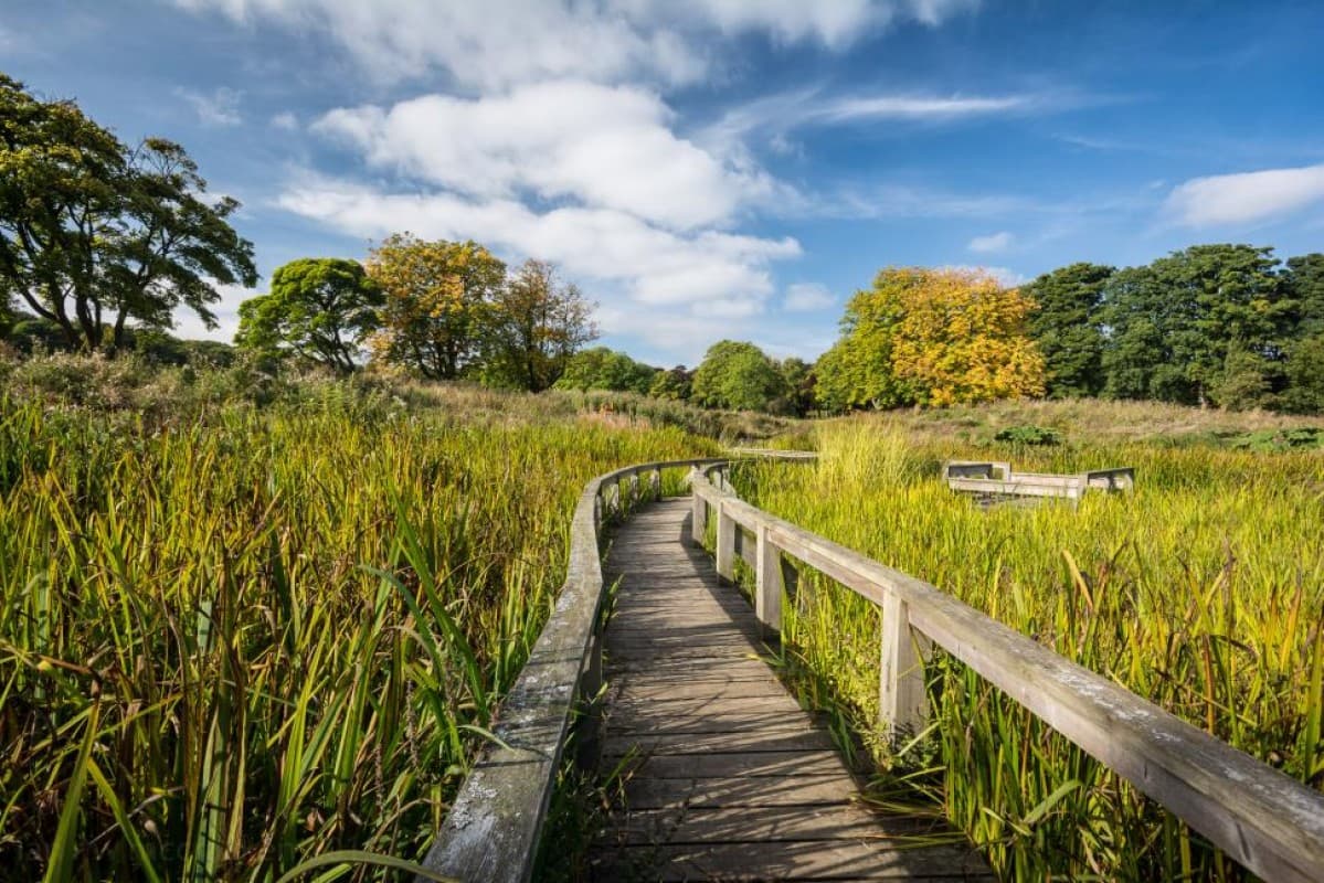 Beveridge Park - Main view