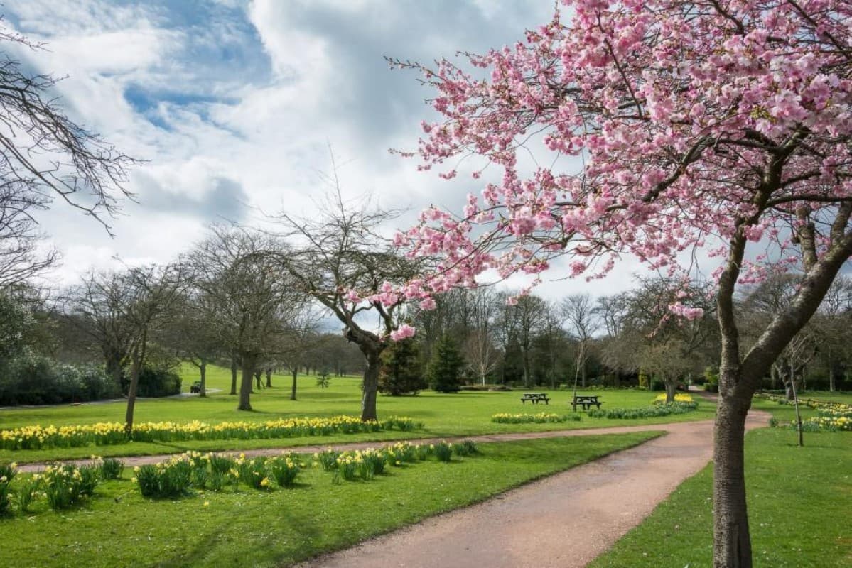 Beveridge Park - Image 2