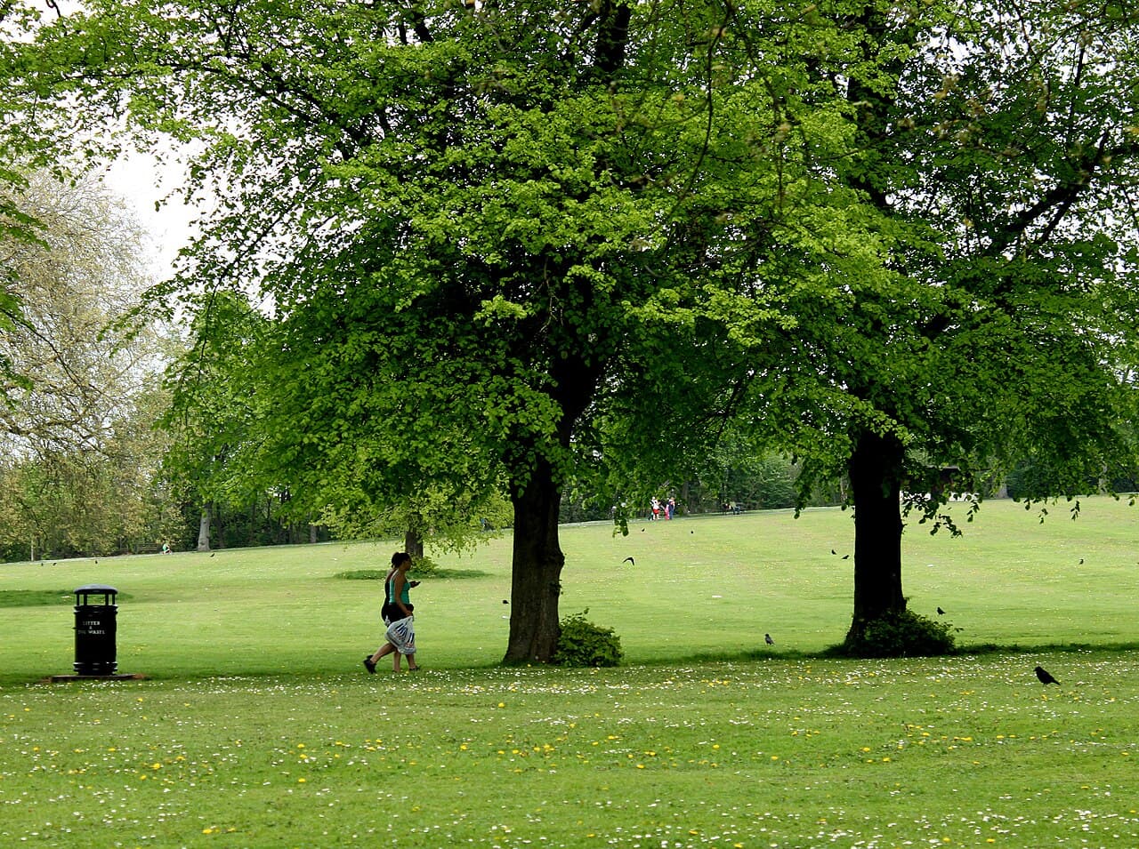 Eastville Park - Image 3