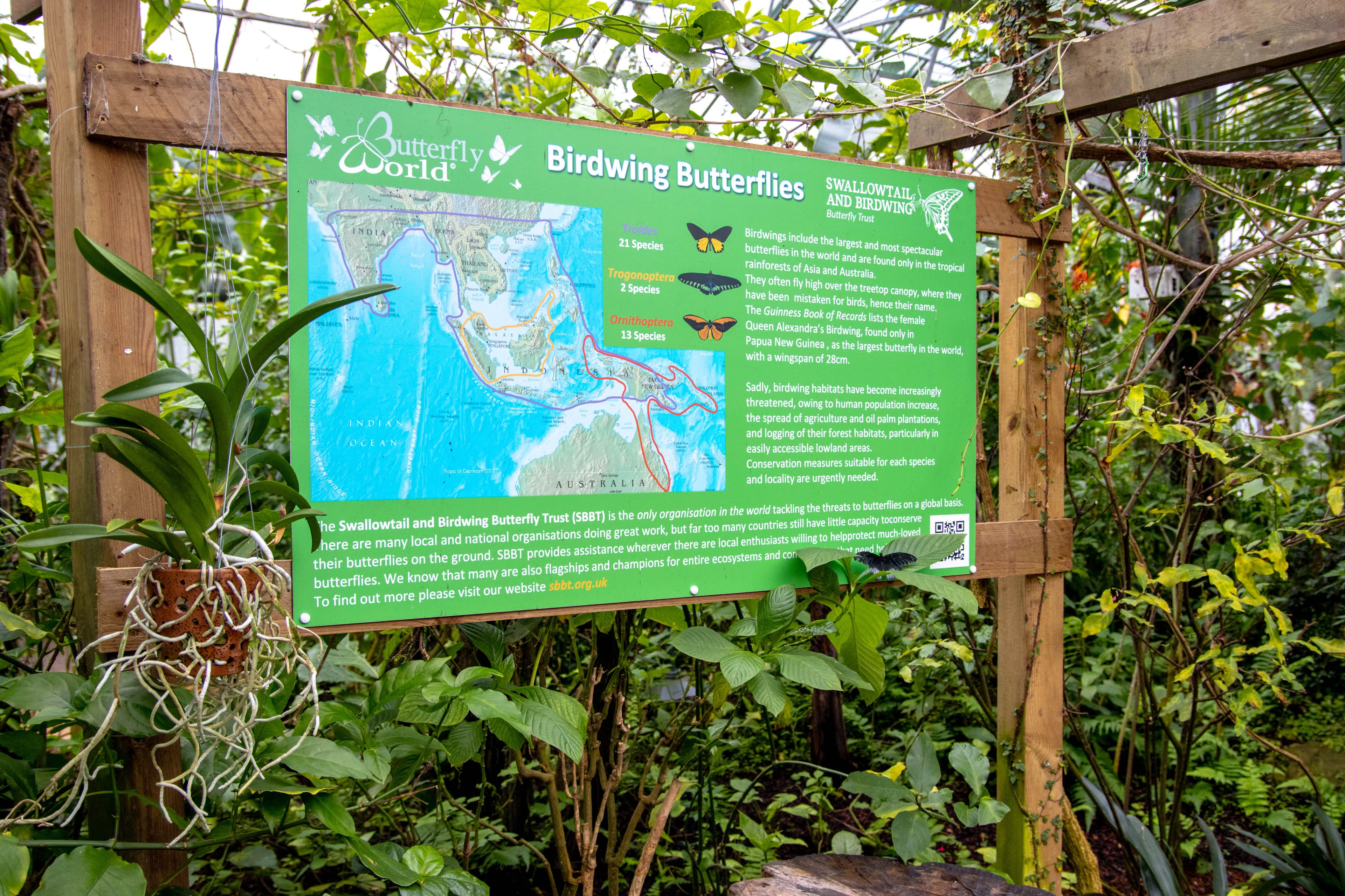Butterfly World Ltd - Image 2