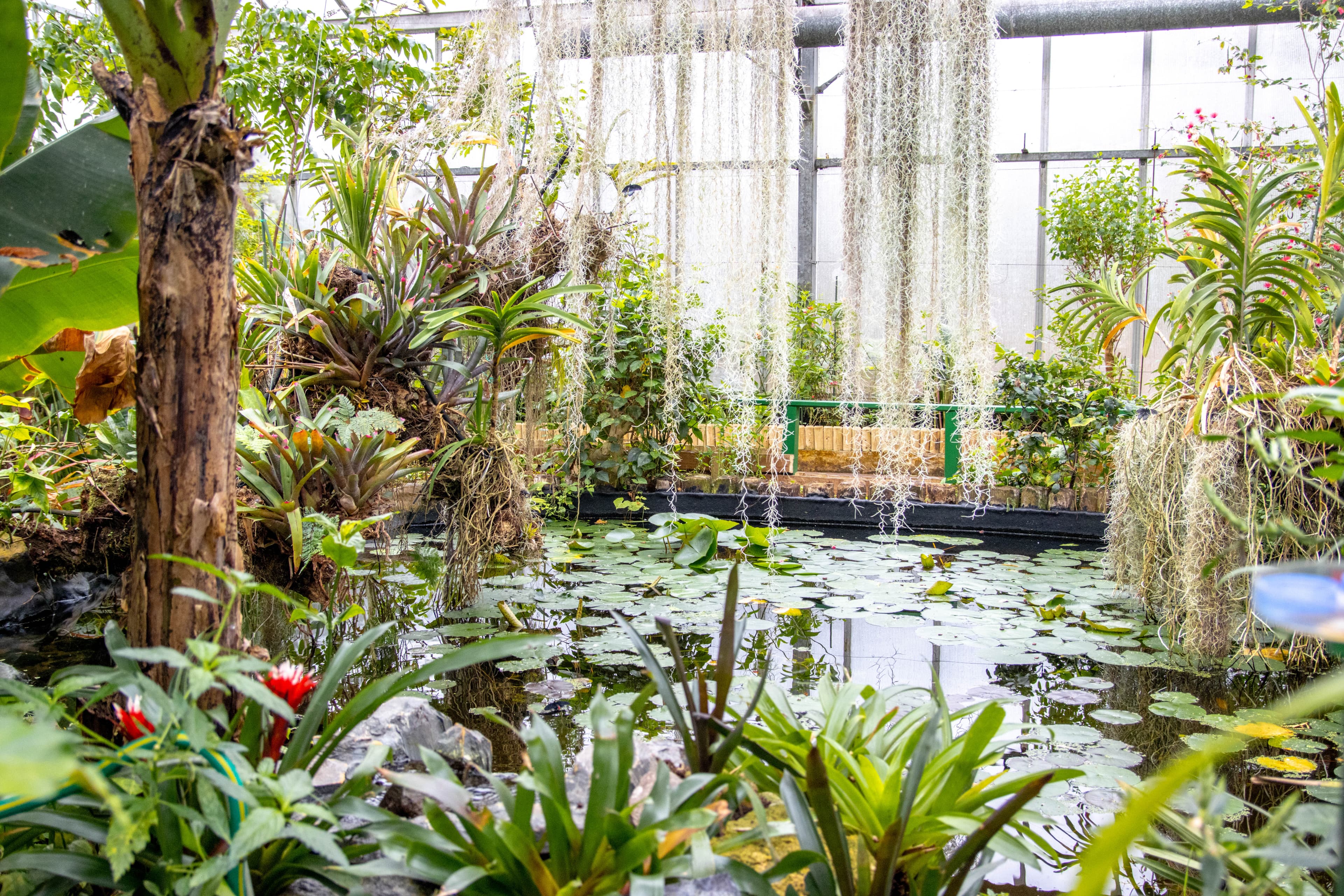 Butterfly World Ltd - Image 4