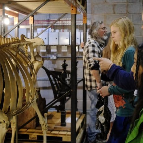 Museum Collection Centre, Birmingham Museums Trust - Image 2