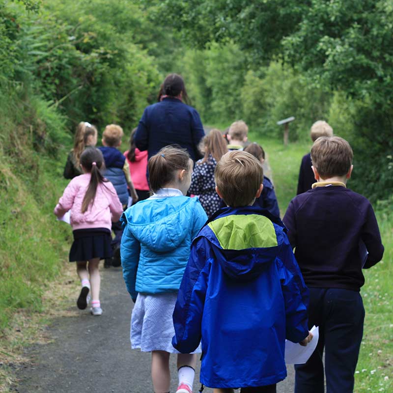 Creggan Country Park - Main view