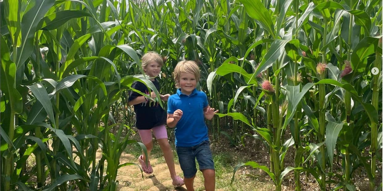 Farmer John’s Maize Maze and Pumpkin Patch - Image 1