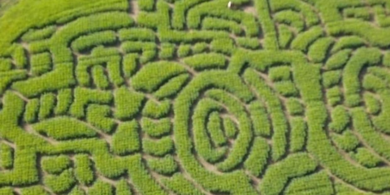 Farmer John’s Maize Maze and Pumpkin Patch - Image 2