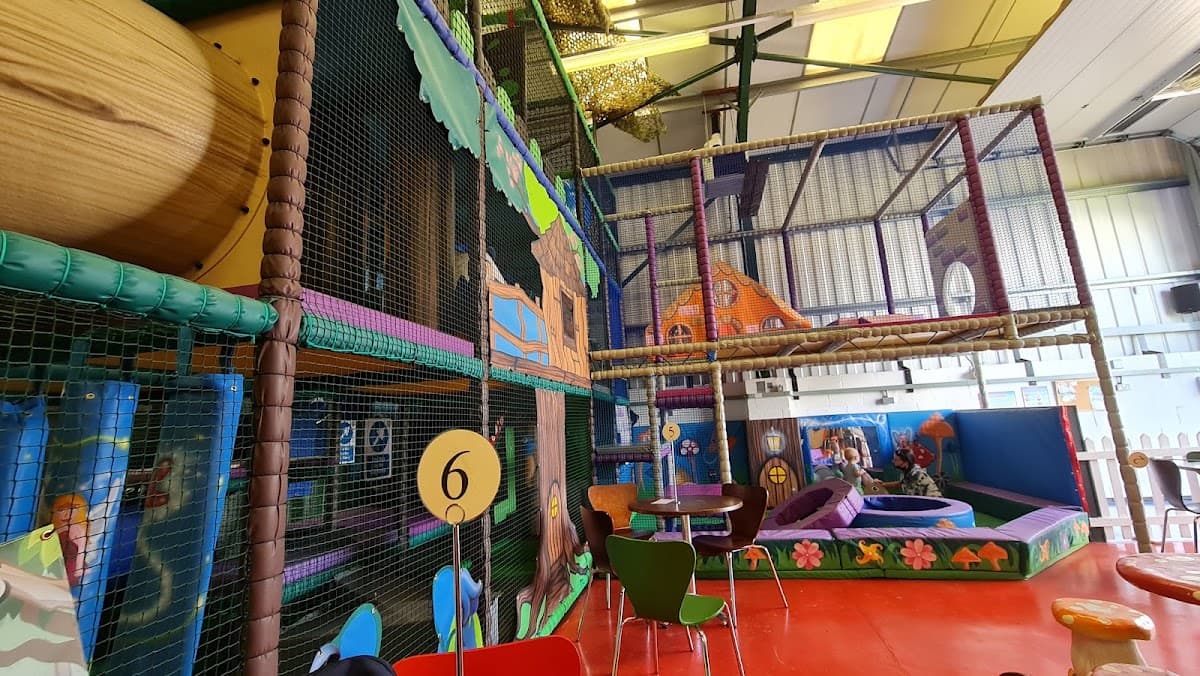 The Wonder Wood - Image 1